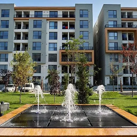 Onix Mamaia *